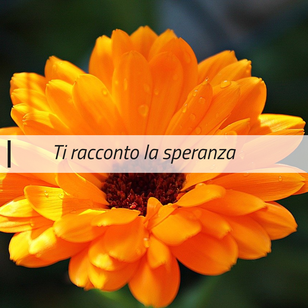 Concorso Ti racconto la speranza